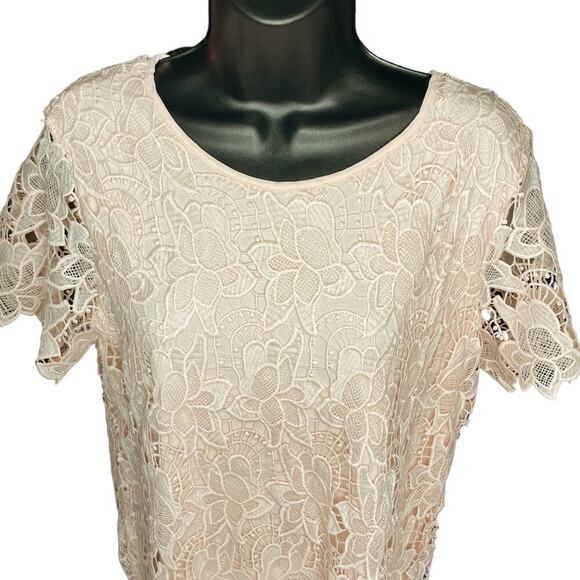 Philosophy NWT Pink Floral Lace Blouse Size Medium - Picture 4 of 7